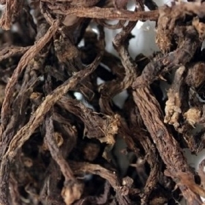  국내산 (경북 청송) 민들레뿌리 300g (포공영뿌리,흰민들레뿌리)